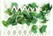 Elegant 38 Ft Autumn Artificial Grape Leaf Garland - 5 Strands, Highly Realistic Fall Decor for Weddings, Home, Parties, & Wall Display